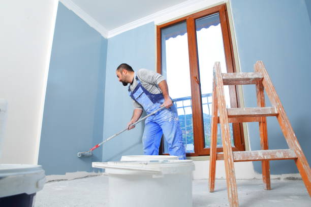 Mold Removal for HVAC Installations in Montgomery, MN
