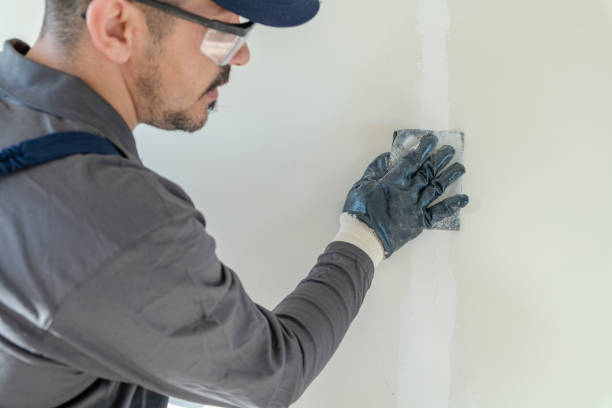 Best Basement Mold Removal  in Montgomery, MN