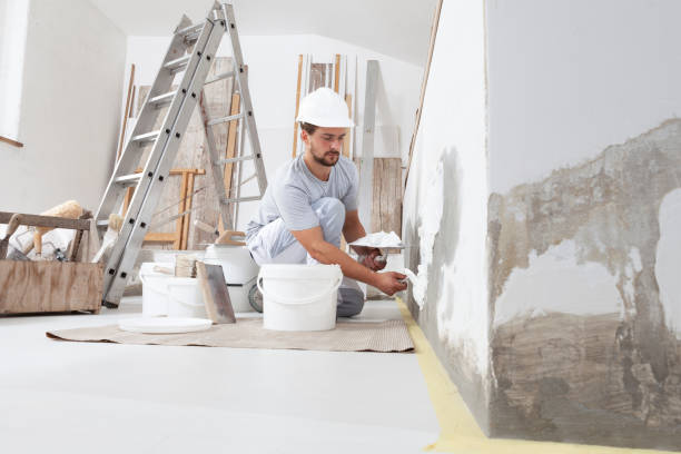 Mold Documentation for Insurance Claims in Montgomery, MN