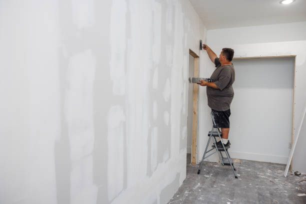 Best Dehumidification Services  in Montgomery, MN