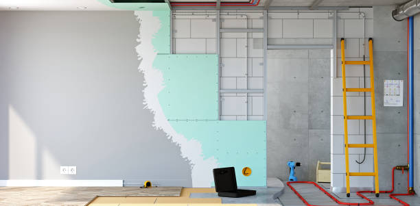 Best Real Estate Mold Inspection  in Montgomery, MN