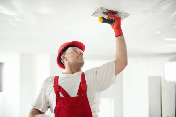 Best HVAC Mold Inspection and Cleaning  in Montgomery, MN