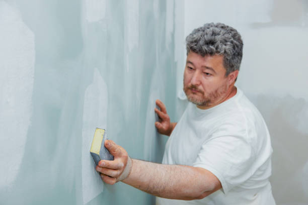 Best Post-Construction Mold Inspection  in Montgomery, MN
