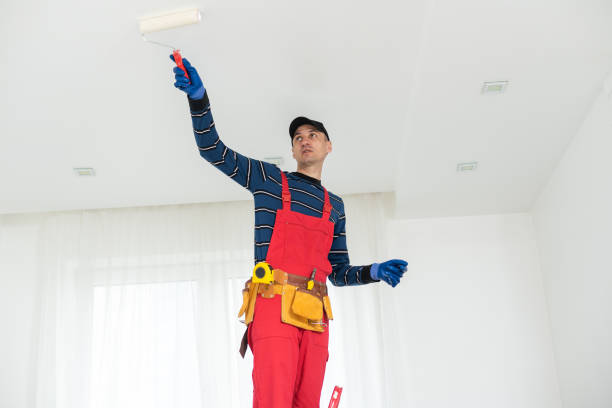 Best Biohazard Mold Removal  in Montgomery, MN