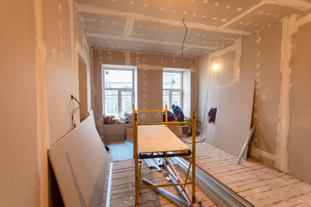 Reliable Montgomery, MN Mold Removal Solutions