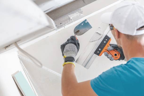 Best Comprehensive Air Testing for Mold Contaminants  in Montgomery, MN